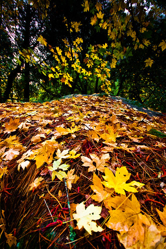Fall Color, Chapel, Ansel Adams Photowalk