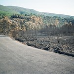 Incendio Campamento Descargamaría 1998