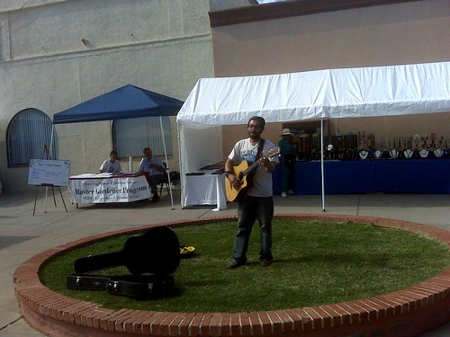 musician at the farmers market