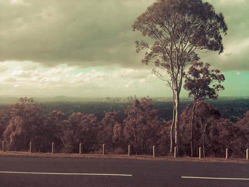 A photo of the view from a mountain towards Brisbane city with a gum tree sitting in the foreground. The colouring has been altered and the photo looks a little bit like a typical Australian landscape painting.