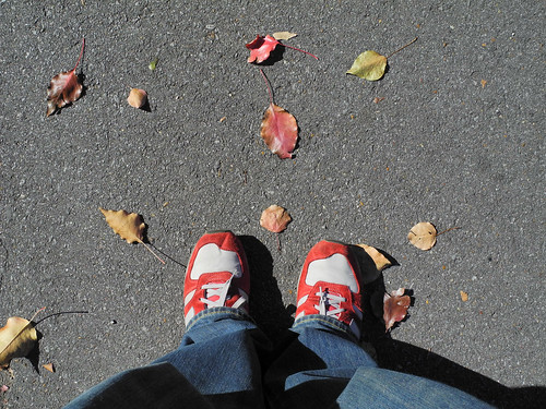 Autumn New Balance Really nice crispness and detail when viewed at 100%.  I