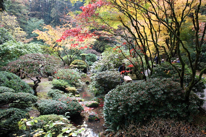 japanese garden 8
