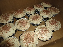 sweet cupcakes!