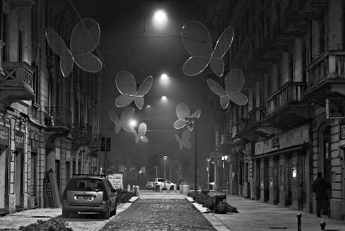 Christmas Butterflies in Milan