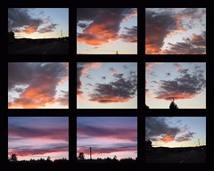 sunset collage
