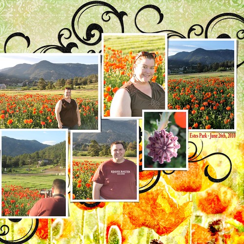 Poppy Photoshoot Layout (Right Side)