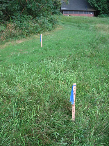 Dock stakes