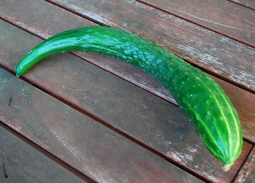 Asian Cucumber