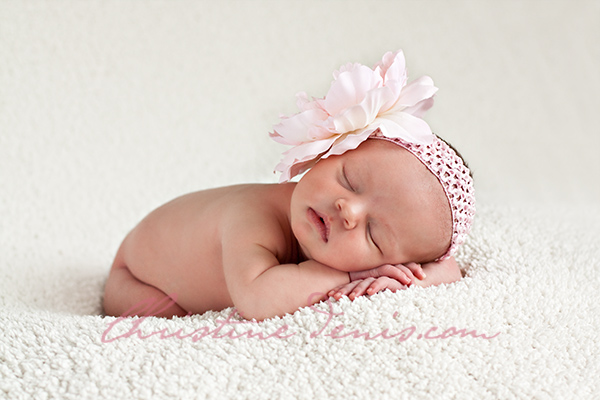 Beautiful Rose ~ Ottawa Baby Photographer