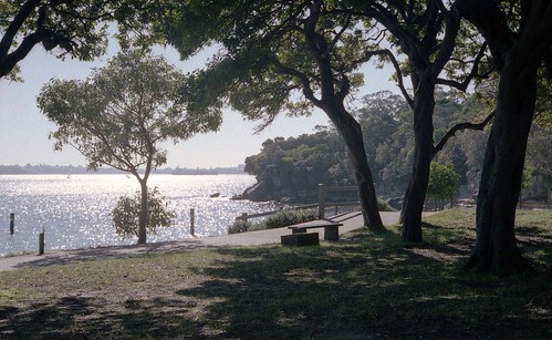 Nielsen Park, Vaucluse. Contax IIa. Weird colours due to this being a Photoshop reversal of a scan of a negative, thanks to crappy quality of prints.