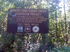  Bowers Cove Sign 