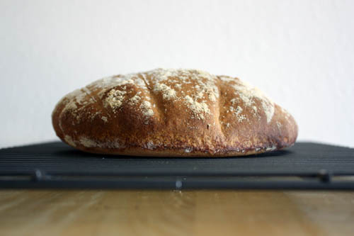 french boule.