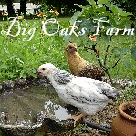 Big Oaks Farm