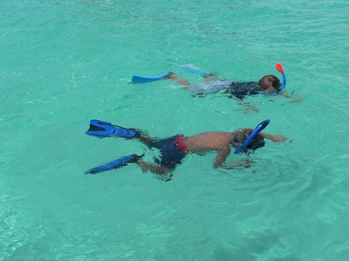 Bimini Snorkeling