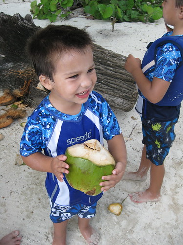 Finn and the coconut Sergio opened
