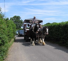 Chalvington: horse-drawn transport. 