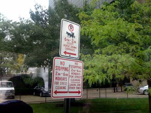 Spy Photo:  &quot;Horse Carriage Parking Only&quot;