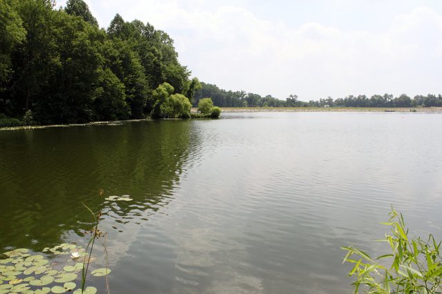 Lake in the Park