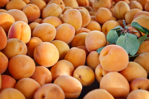 Mound of Apricots