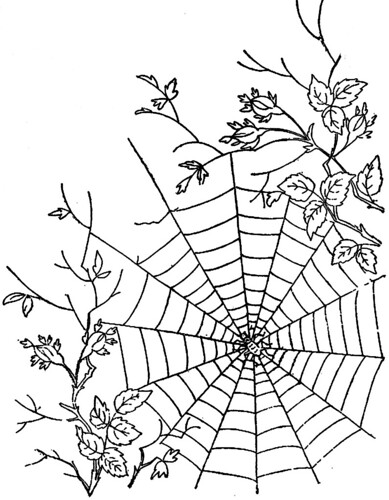 1886 Ingalls Spiderweb in Roses