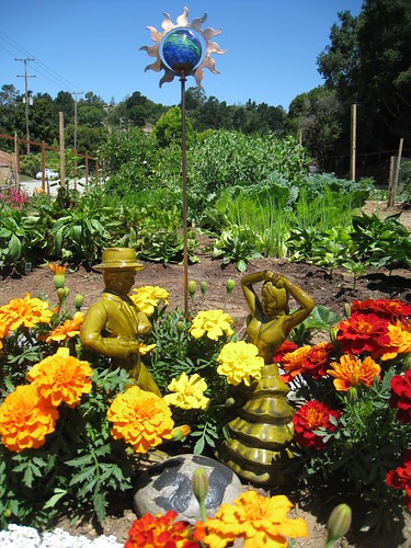 Aptos Community Garden - 6/28/2010