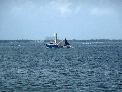 Shrimp Boat seen from Mid-Bay Bridge