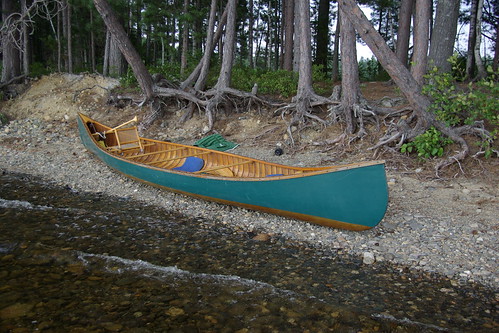 canoe and roots
