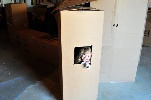 the box fort