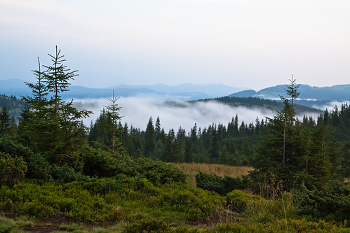 Carpathian mist