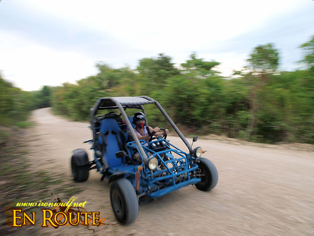 Dune Buggy Trail Ride