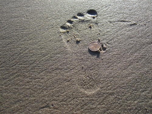 tiny footprint