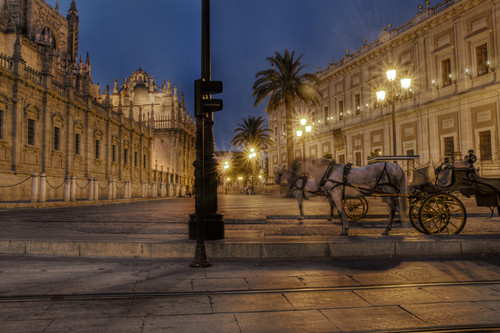 Horses by the cathedral. Seville. Caballos junto a la catedral. Sevilla.
