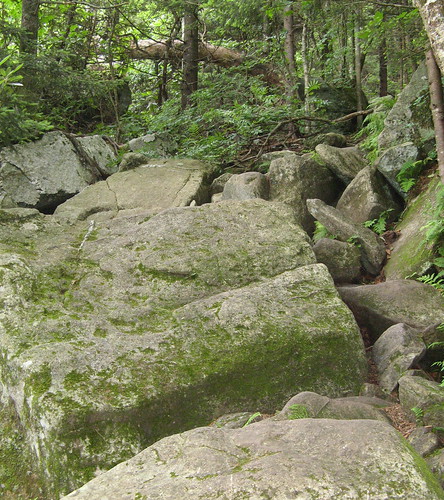 Boulders in trail
