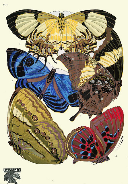 006-Papillons vingt planches en phototypie coloriees..1928- Eugene Alain Seguy