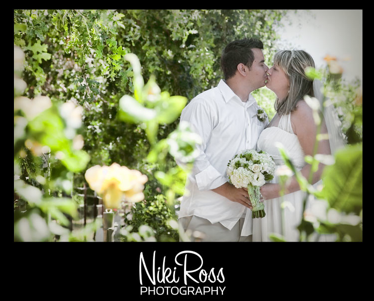bride-groom-kiss-roses