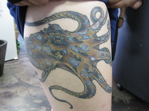 octopus · ocean · octopus tattoo · ocean tattoo · tattoo · tattoos 