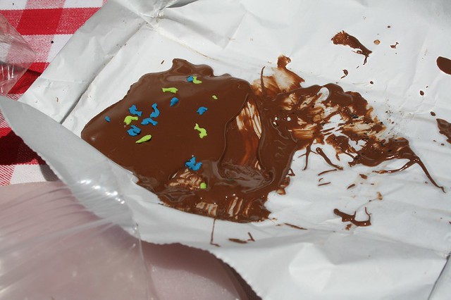dolphins caught in the chocolate spill