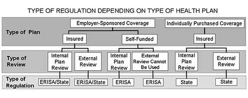 health insurance external review regulatory patchwork