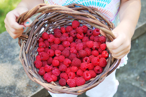 Raspberries.