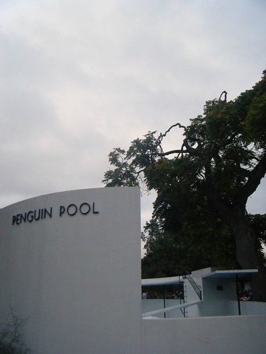Penguin Pool - late@ London Zoo