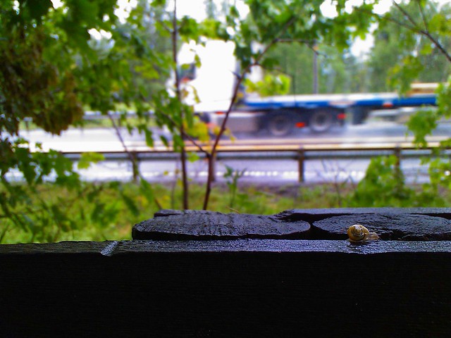 Closeup of a snail crawling along a wooden fence, in the background a (blurry) truck can be seen moving in high speed.