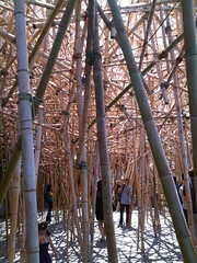 Doug and Mike Starn - Big Bambú