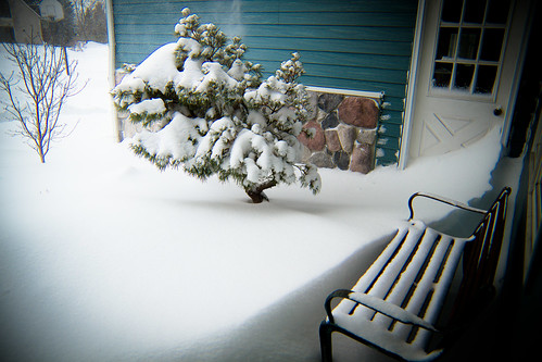 snow-1313.jpg