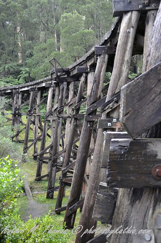 Puffing Billy Train, Selby