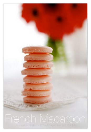 French Macarons (shell only)
