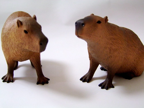 ドキドキどうぶつシリーズ カピバラ/Dokidoki Animal Series Capybara