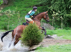 Skipton (2) Horse Trials 2010