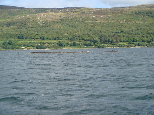 Rocks in Loch Sween