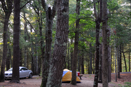 Camping at Nickerson State Park