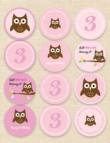 Owl Cupcake Toppers and Stickers